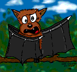 Bat by Maeve Wolf