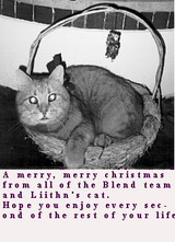 liithn's cat by liithn