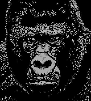Gorilla by Andy Herbert