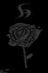 Rose by HaRD