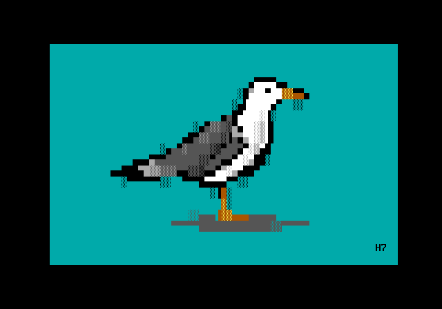 Seagull