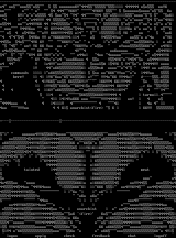 Ascii Colly by Anarchist