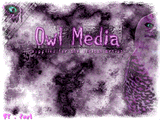 Owl Media by Francis Seven