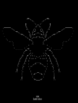 bumblebee by venam