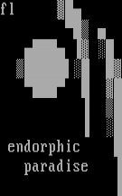 k-endorp