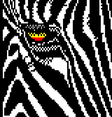 Zebra by AtonalOsprey