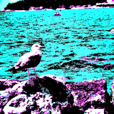 Gull by My_Life_Computerized