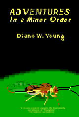 Adventures in a Minor Order by Moth / LDA