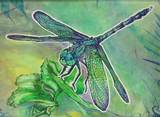 Dragonfly by Theresa Oborn