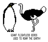 Giant Flightless Birds by Jellica Jake