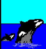 Orcas by AtonalOsprey