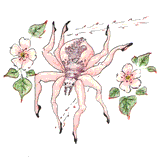 Spider Ballerina by Theresa Oborn