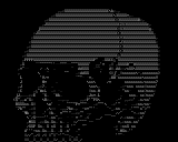 Skull by AtonalOsprey