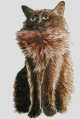 Beard Cat by Theresa Oborn