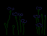 Cornflowers by mozz