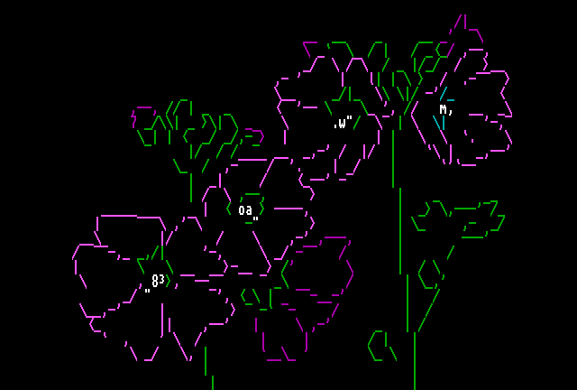Musk Mallow by mozz