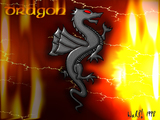 Dragon dRagon drAgon draGon dragOn by WaRP!