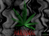 Marijuana by Shaitan